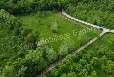 Teren de vanzare in comuna Corbi, jude? Arge?. - 13