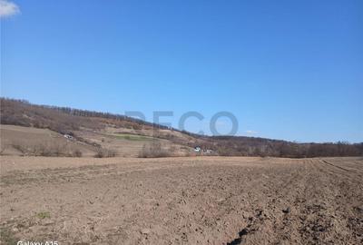 Teren de 3900 mp, în Mierlău - 4