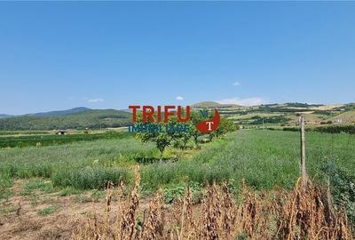 Spațiu comercial, în Șard