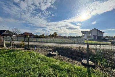 Teren de 20000 mp, în Bozânta Mare - 1