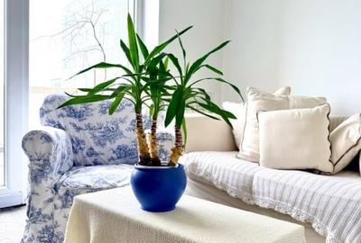 Apartament cu 3 camere decomandat, mobilat în Cișmigiu - 1