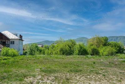 Teren Zona Jiblea Veche - 2