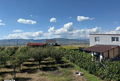 Casă cu 2 camere în Oarda - 7