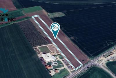 Teren extravilan de 28.000 m2,in Vladimirescu(ID:30227) Teren extravilan de 28.000 m2,in Vladimirescu(ID:30227) - 3