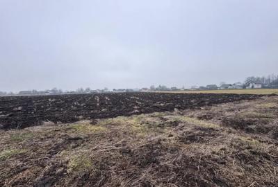 Teren de 3800 mp, în Frătăuții Vechi - 2