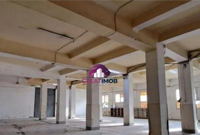 Hala de inchiriat Drumul intre Tarlale - 6