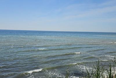 Teren de 10000 mp, în Costinești - 6