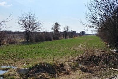 Teren în Măgurele - 3