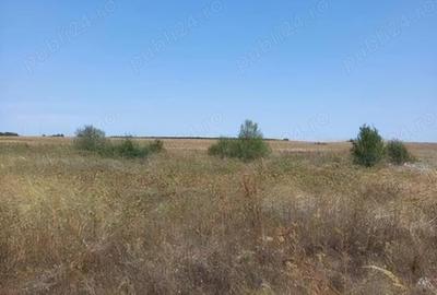 Teren de 575 mp, în Berceni