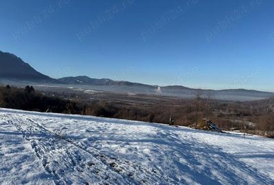 Teren de 500 mp, în Tohănița - 7