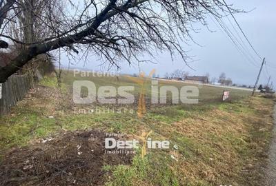 Teren în Doina - 2