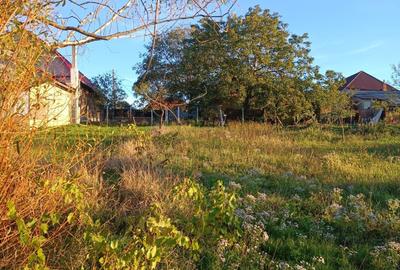 Casă cu 3 camere cu Teren 2600 Mp în Săldăbagiu de Munte - 6