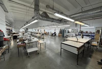 Complex industrial 30130  mp construit - Teren 42558 mp - 4