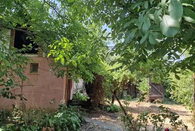 Doua case + anexe + gradina + gaz - 4