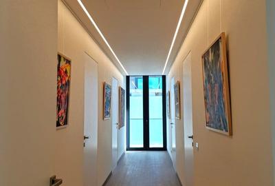 Penthouse 5 camere Kiseleff - 12