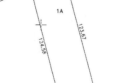 Domnesti, Teghes, teren la padure, str. Argesului, sup. 5000mp, d=40m - 5