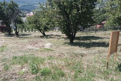 Teren de 1420 mp, în Chicerea - 3