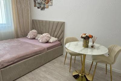 Garsonieră nedecomandată în Roșu - 3