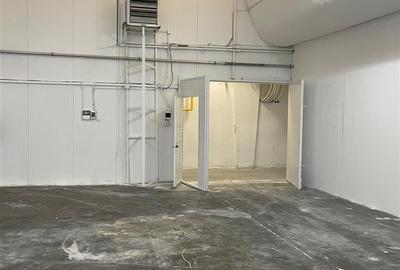 Inchiriere spatii productie sau depozitare - 10