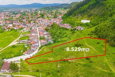 COMISION 0% Teren de 8529 mp/Bunloc/Intravilan - 10