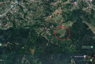 Teren de 2500 mp, în Manga - 1