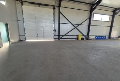 Parc Logistic Nou 2025 – Hale de Vanzare de 600 mp în Chitila-Rudeni - 10