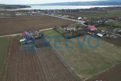 Teren de 4000 mp, în Bazga - 5