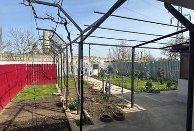 Casa + hala, oportunitate de afacere in zona industriala - 2