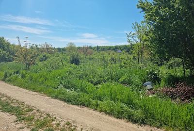 Teren intravilan de 1383 mp, în Bolintin-Deal - 2
