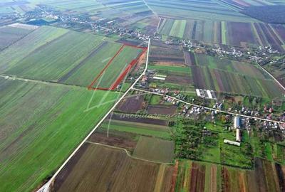 Teren intravilan curti-constructii, industrial, Autostrada A1 - km 62 - 20