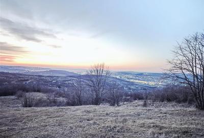Teren agricol extravilan de 500 mp, în Tomești - 9