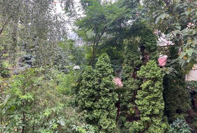 Vanzare ap. 2 camere, elegant, imobil nou - Titan Ozana - Metrou - 23