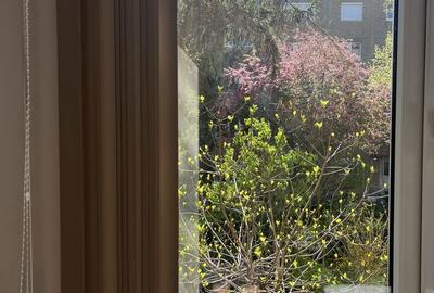 Apartament cu 2 camere în Rogerius - 9