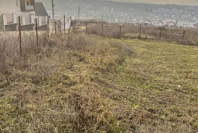 Spațiu comercial, în Socola - 7