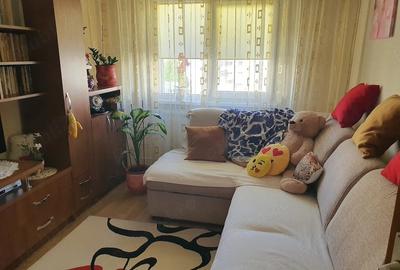 Apartament cu 3 camere decomandat în Ostroveni - 13