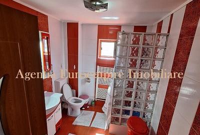 Vila P+M de vanzare in localitatea Valu lui Traian - 21