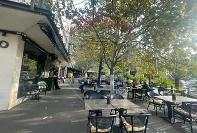 Spațiu comercial, de 131 mp, în Parcul Carol - 12