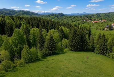 Spațiu comercial, în Bran - 3