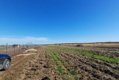 Teren Construcții intravilan de 800 mp, în Corbeanca - 4