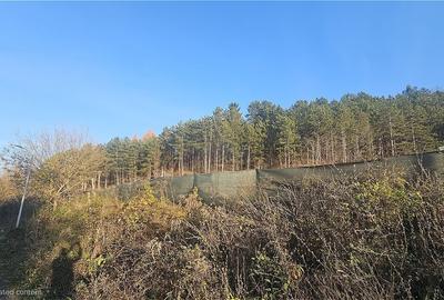 Teren intravilan de vanzare, Camping Colina - 3