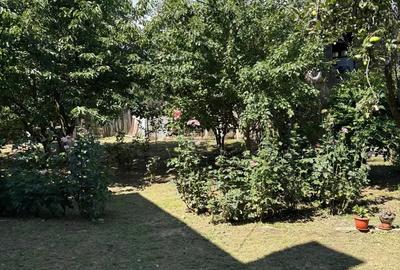 Vila S+P+E+M, la 3 km de Calimanesti - 1