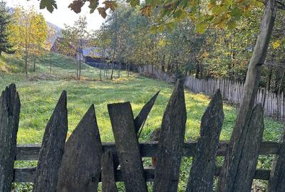 Spațiu comercial, în Sadova - 2