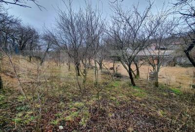 Casă individuală cu 2 camere cu Canalizare în Ceanu Mic - 3