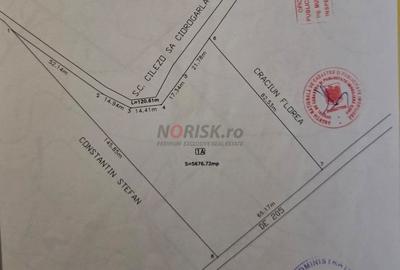 Teren Construcții intravilan de 1500 mp, în Domnești - 10