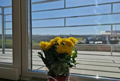 Apartament cu 2 camere decomandat în Exterior Vest - 2