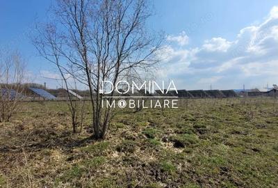 Teren de 978 mp, în Drăguțești - 1