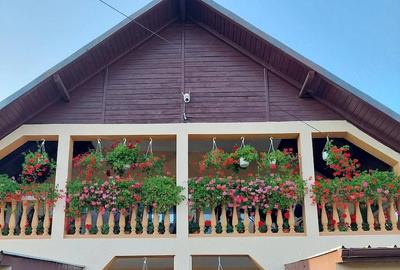 Casă cu 2 camere cu Teren 300 Mp în Central - 1