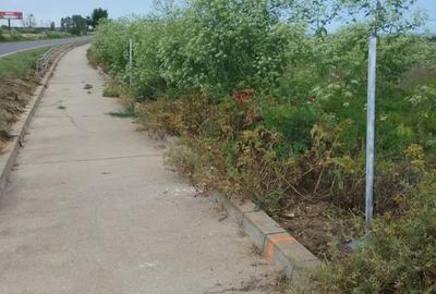 EXCLUSIV! Teren intravilan  - 2 Mai - Vama Veche - 20 euro/mp(E3) - 9