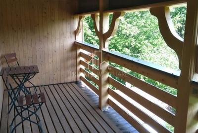 Casa /Cabana De Vanzare, 1000 Mp Teren, Ibanesti - 5