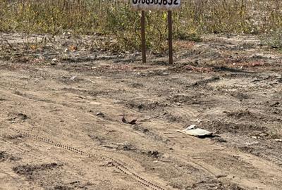 Teren intravilan agricol 5000 mp2 - 1